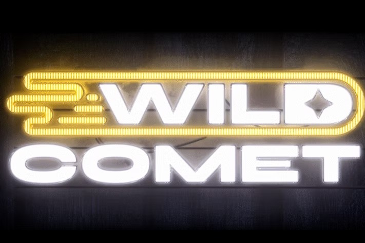 Wild Comet Media neon sign — the animation studio Alexander Steinberg co-founded